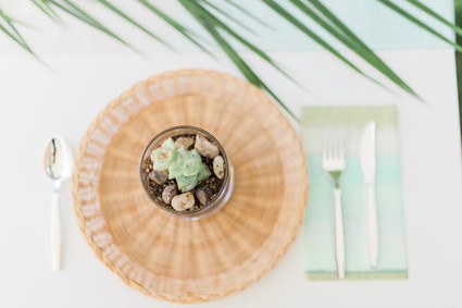 Tropical baby shower ideas