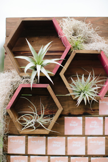 Geometric air plant holder