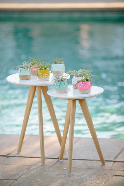 Modern succulent escort cards