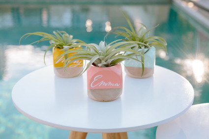 Modern succulent escort cards