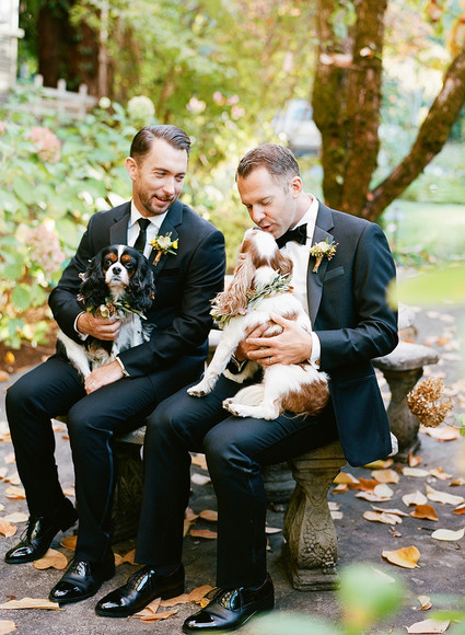 Wedding pets