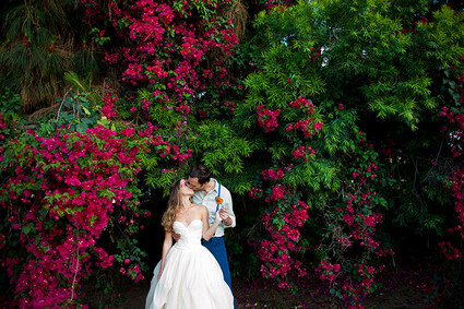 Bougainvillea flowers