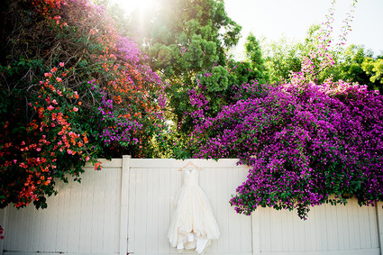 Bougainvillea flowers