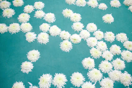 Flowers in pool