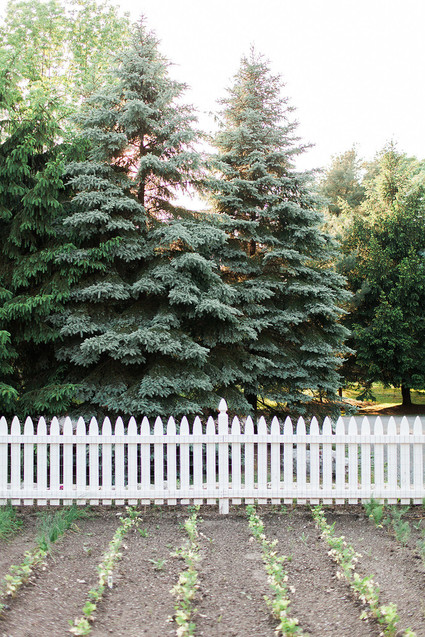 Collective Gathering at Cedar Lakes Estate
