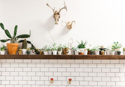 romantik floral studio tour