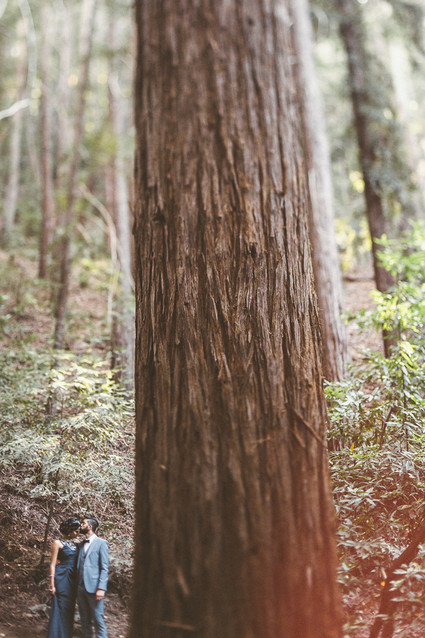 Rustic Bay Area wedding portraits