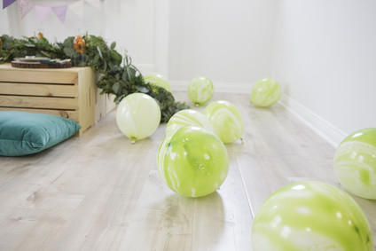 National Parks inspired birthday party ideas