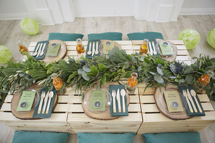 National Parks inspired birthday party ideas