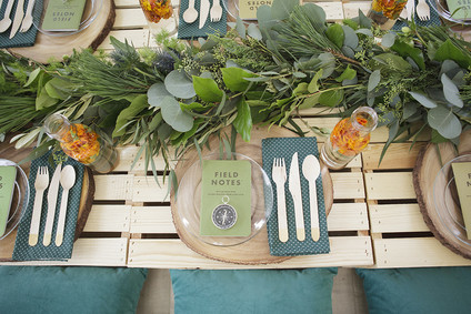 National Parks inspired birthday party ideas