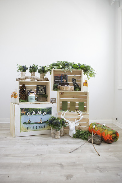 National Parks inspired birthday party ideas