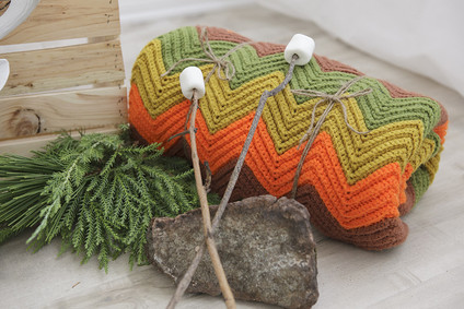 National Parks inspired birthday party ideas