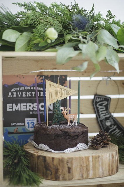 National Parks inspired birthday party ideas