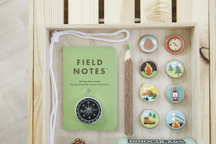 National Parks inspired birthday party ideas