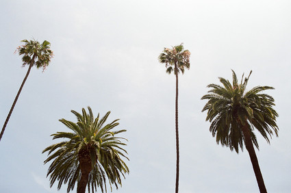 Modern newborn photos by Lacie Hansen