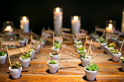 Mini plant escort cards Inspiration