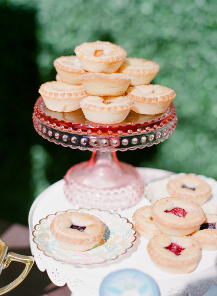 Walnut Animal Society book launch party Inspiration