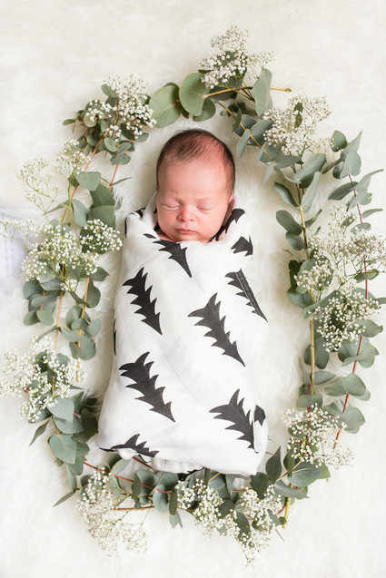 Paris newborn and nursery photos