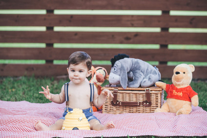 Winnie the Pooh 1st birthday party Inspiration