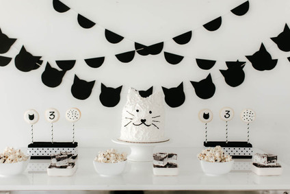 black and white kitty birthday