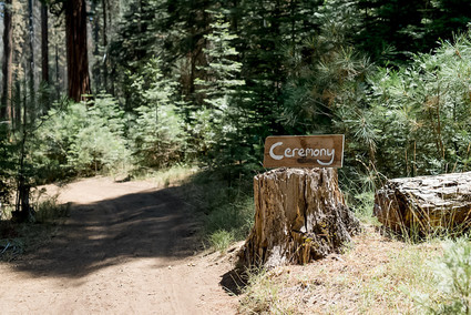 Wedding in Yosemite