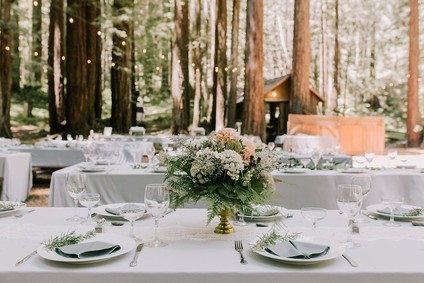 Forest wedding