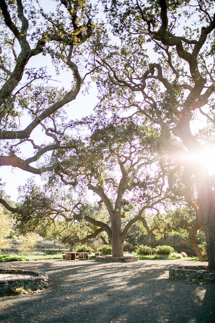 A day at a vineyard with Orbit stroller