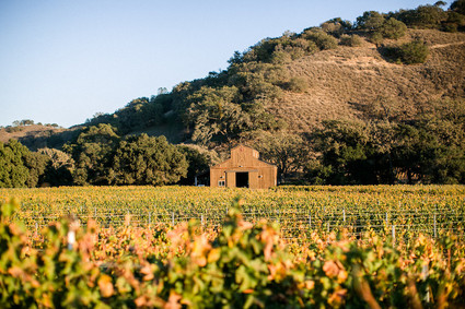 A day at a vineyard with Orbit stroller