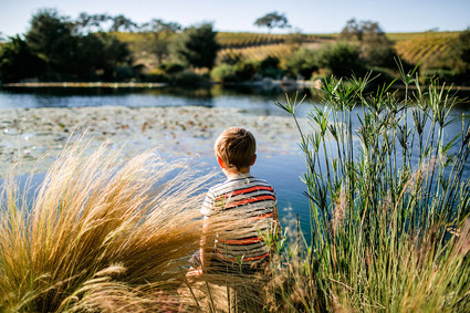 A day at a vineyard with Orbit stroller