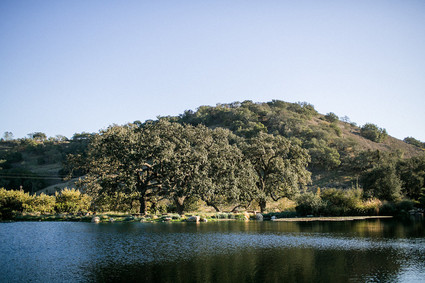 A day at a vineyard with Orbit stroller
