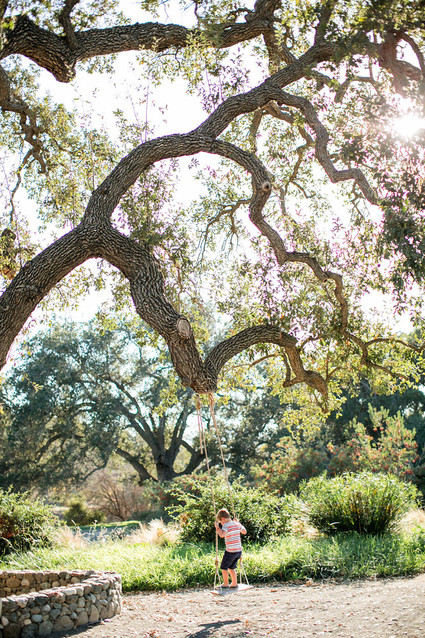 A day at a vineyard with Orbit stroller