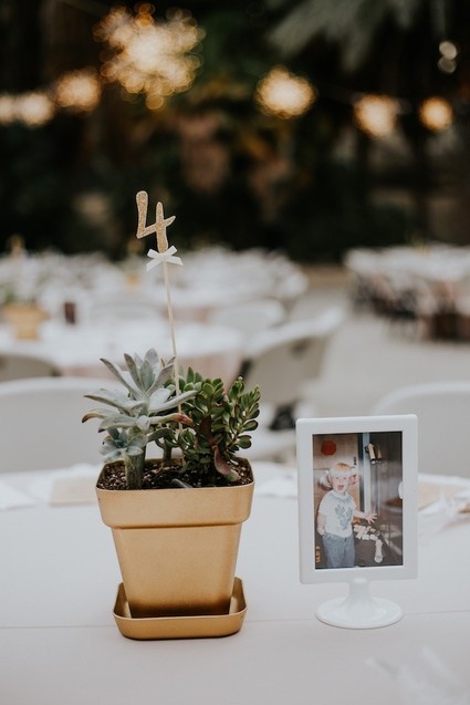 DIY desert wedding