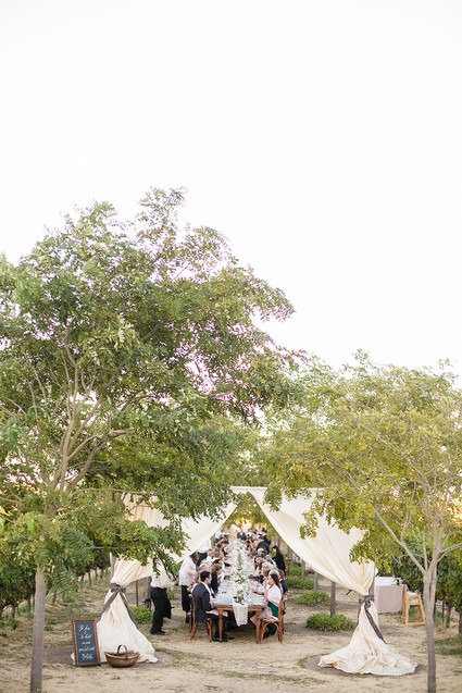 Vineyard wedding ideas