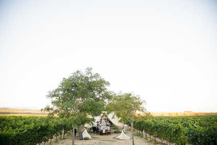 Vineyard wedding ideas
