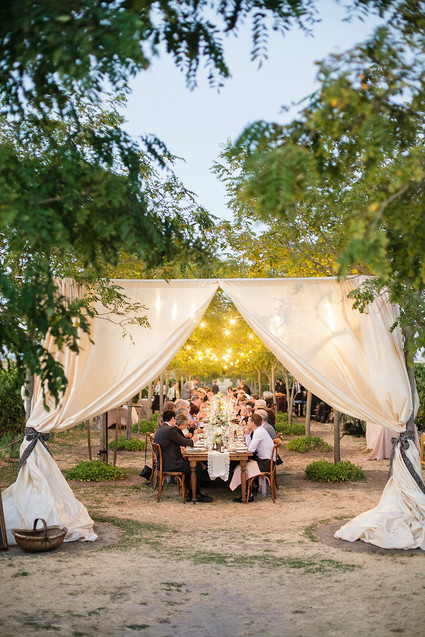 Vineyard wedding ideas