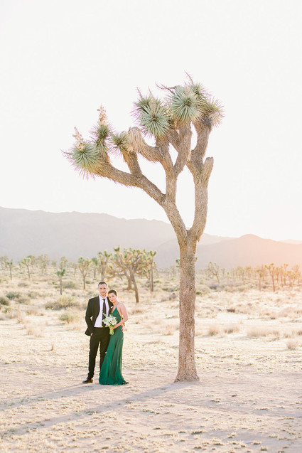 Joshua Tree elopement Inspiration