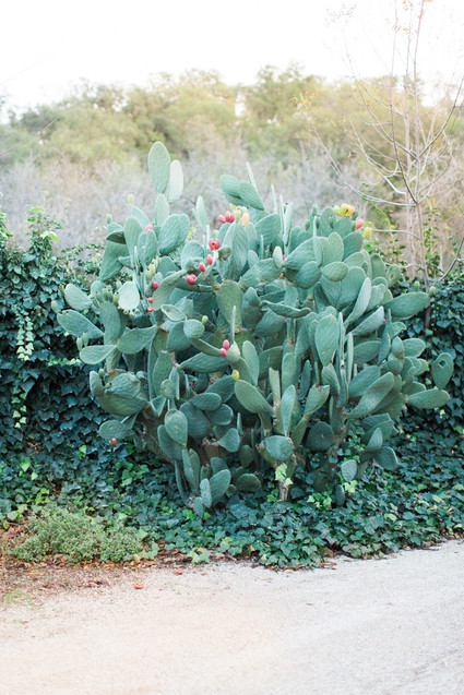 Bohemian anniversary party