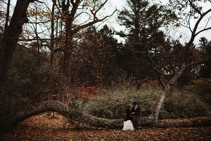 Woodland Vintage Wedding Inspiration