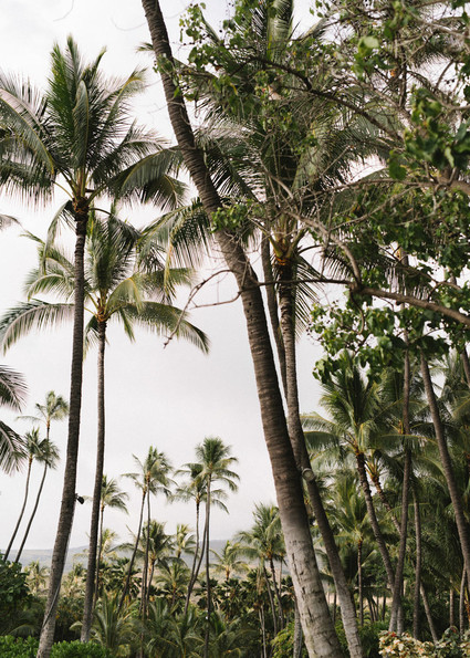 Honolulu Hawaii Wedding Inspiration