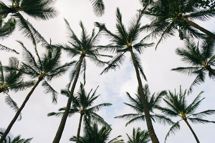 Honolulu Hawaii Wedding Inspiration