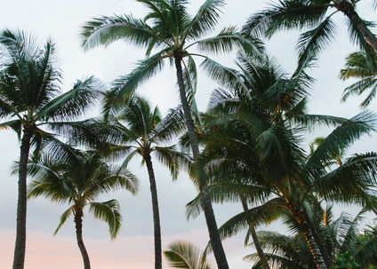 Honolulu Hawaii Wedding Inspiration