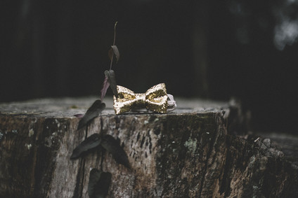 Moody swan lake birthday party