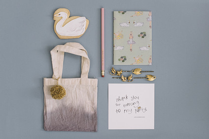 Moody swan lake birthday party