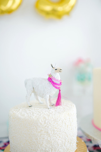 Modern cactus birthday party