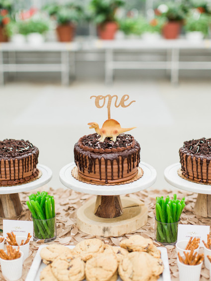 Modern dinosaur 1st birthday party