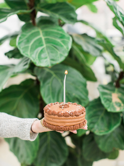 Modern dinosaur 1st birthday party