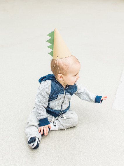 Modern dinosaur 1st birthday party