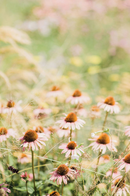 Desert oasis bridal shower inspiration
