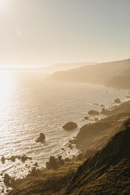 Muir woods elopement