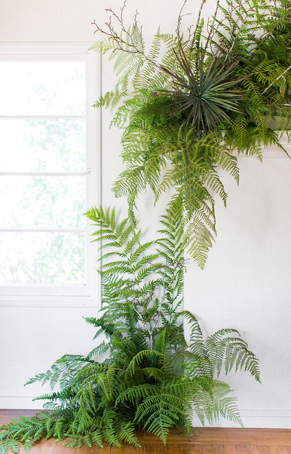 Fern decor